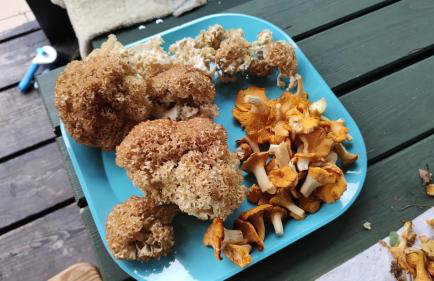 Dom pod Jabłonką - Foto 17