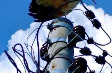 Żurawisko - Domki wśród natury - Foto 40