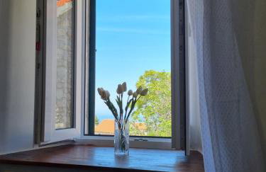 Apartman Meli in village Brusje - Foto 32