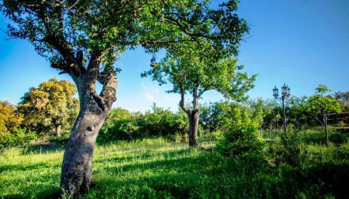 Rural Médulas Viviendas de uso turistico 2 y Casas rurales 2 - Foto 5