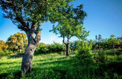 Rural Médulas Viviendas de uso turistico 2 y Casas rurales 2 - Foto 5