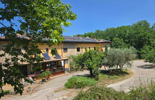 CANTUCCIO nel Verde - Photo 71