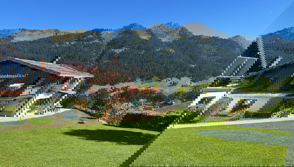 Bi-dr-gondamaika - Foto 1, Imagen principal