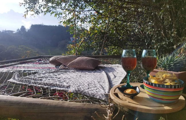 ecohotel zona 7 - Photo 37