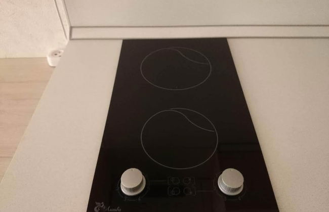 Apartment on Lysaya Gora 36-2a Green Area 5 - Photo 7