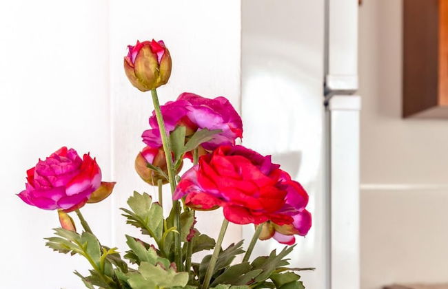 Casa do Tio Jos in Doze Ribeiras - Photo 11