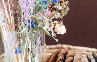 Casa da Figueira - Foto 32