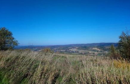 Stasiówka Gospodarstwo Agroturystyczne - Foto 34