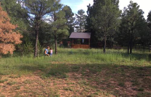 LilyBear Cabin - Foto 25