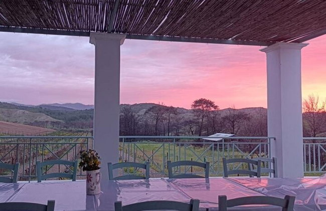 Degustación de vinos en Rodas, dentro de los viñedos con el productor. - Foto 8