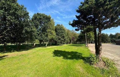 Peters Gasthaus - Foto 20