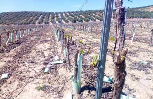 Charming House with Pool in Montilla - Foto 76