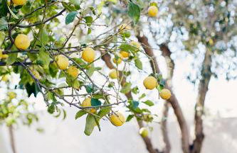 Villa Adara, splendide villa avec piscine et vue mer - Foto 18