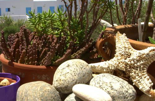 Studios Flora Manos - Foto 29