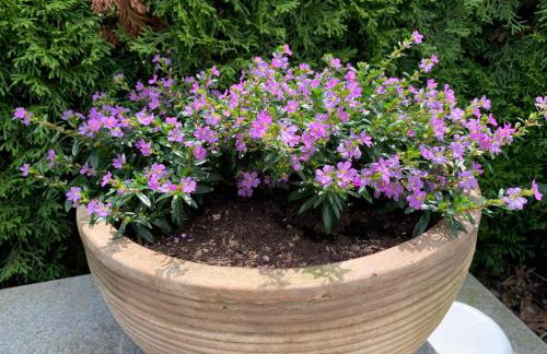 Am Sonnenhang - Foto 33