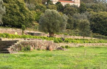 Casa dos Macieis - Entire Main House, Entire Guesthouse or Separate Wing of Main House - Camino Santiago direct access & Optional Agritourism - Foto 33