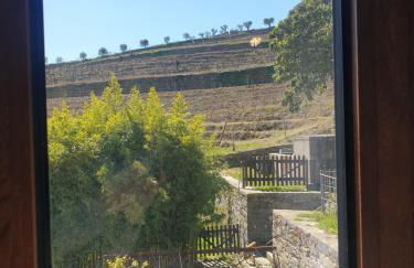 Quinta de Sobre a Fonte Charming Apartments - traditional winery - Foto 18