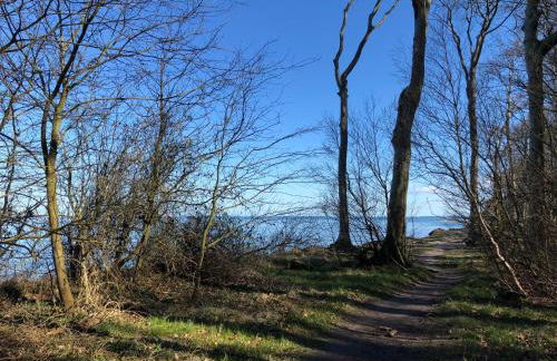 Ferienwohnungostseeblick - Foto 40