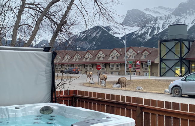 P1 - Private Hot Tub - 3 Bedroom Home - Mountain View - Photo 33