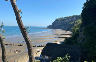 The Bay house Apartments , shanklin - Photo 78