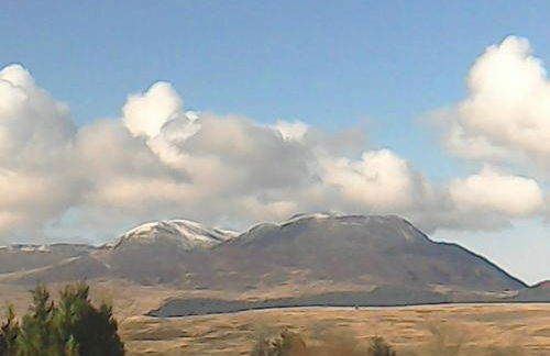 Shifty Chicken Shack - Foto 18