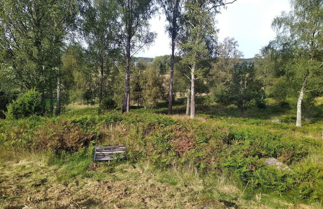 4 Person Holiday Home in Hokerum-by Traum - Photo 15