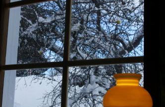 Schwarzwaldbauernhaus Bernau - Foto 23