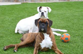 Casa Grotto - Foto 24