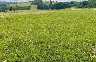 U Ewy pod Brzozami - Foto 47