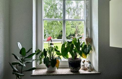 Hof Hummersen - Foto 24