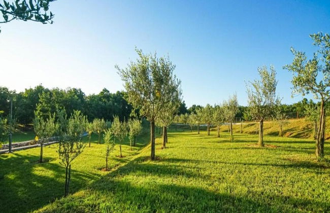 Tranquil Home With BBQ - Photo 39