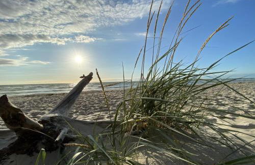 Fewo unweit Warnemünde Sobierajczyk in Markgrafenheide - Foto 36