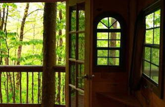 Maine Woods Treehouse-The Birdie - Foto 16