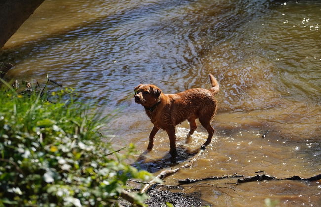 1 Bed 17th Century Stone Cottage in Rural Devon - Foto 8