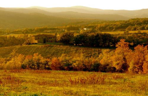 Fattoria Casabianca - Foto 62