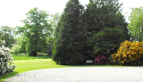 Newforge House - Foto 5, Garden