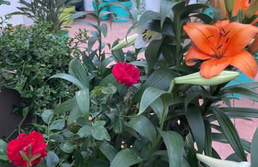 Figueres Center - Foto 41