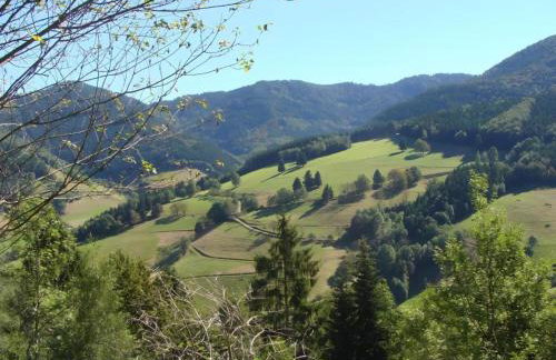 Ferienhaus, Sankt Georgen - Foto 31