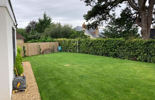 Little Foxes - Photo 36