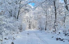 Villa Lovelos - Photo 41