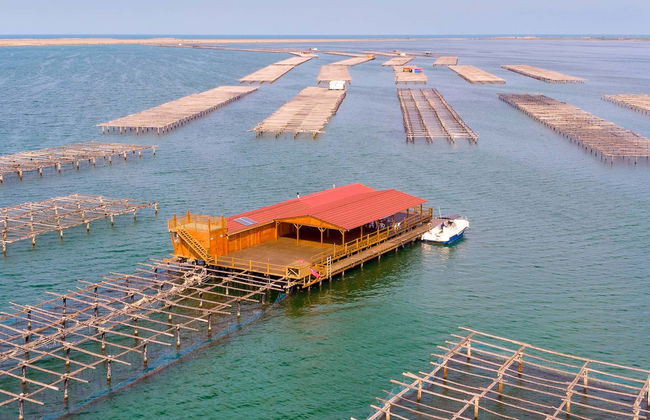 Paseo en barco con degustación de ostras y mejillones - Foto 1