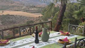 Ciuci's Manor - Photo 4