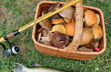 Uroczy drewniany domek w Charzykowach - Foto 49