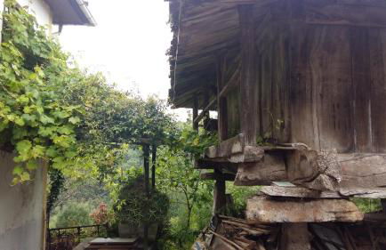 El Requexu de Cervera - Foto 39