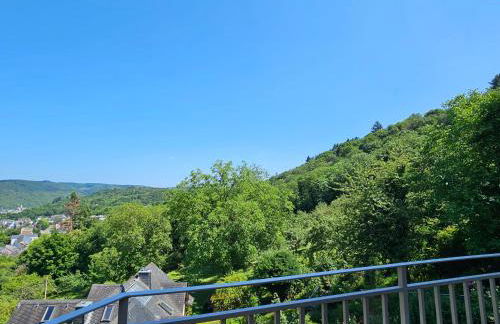 Little Rhine View Château - EG Apartment - Foto 45