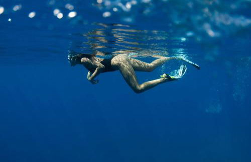 B&C Furnas House - Photo 78