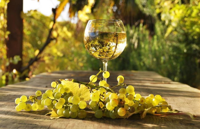 Campanella s Studios - Comfort in the Nature - Foto 15