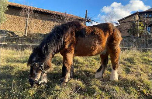 El Cerrito de la Vega - Foto 38