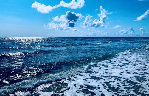 Palm Beach Island Condominiums - Photo 30