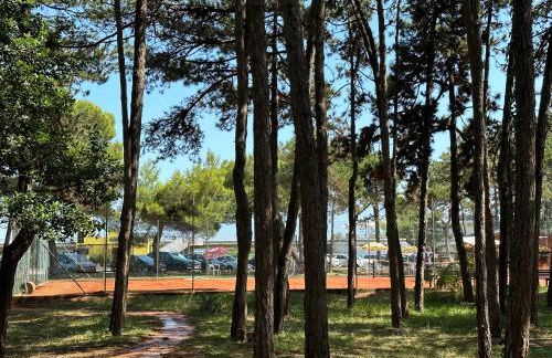 Lignano Pineta Apartment with pool - Foto 31